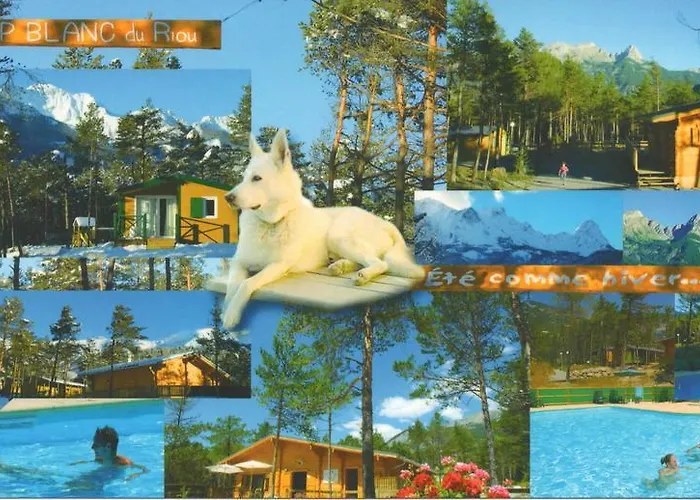 Parc Résidentiel de Loisir : Le Loup Blanc du Riou