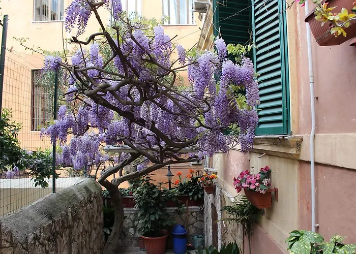 Hotel Pavia Roma