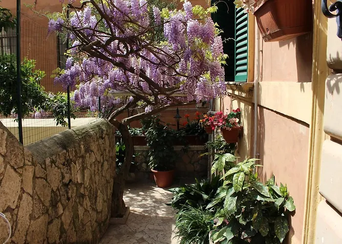 Hotel Pavia Roma