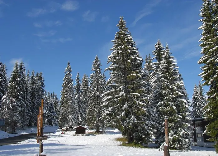 Hôtel Chalet Le Caribou Les Saisies