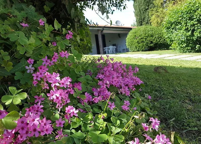 Italsol Residence Riai