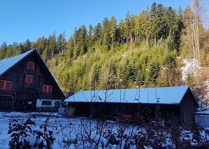 Gut Lauterbad Hotel