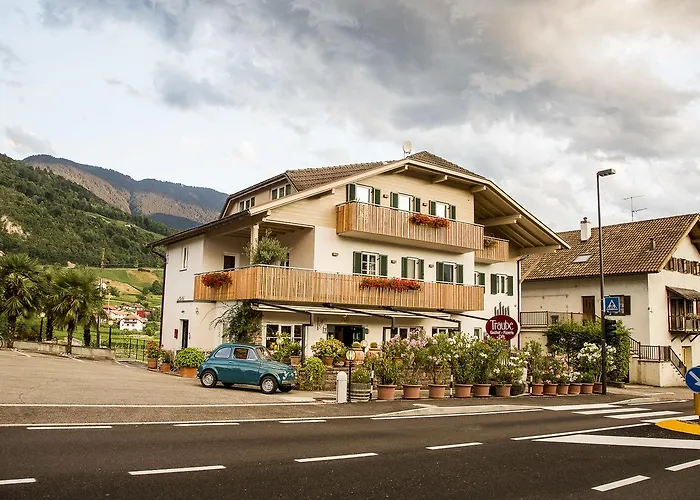 B&B Pizzeria Zur Traube