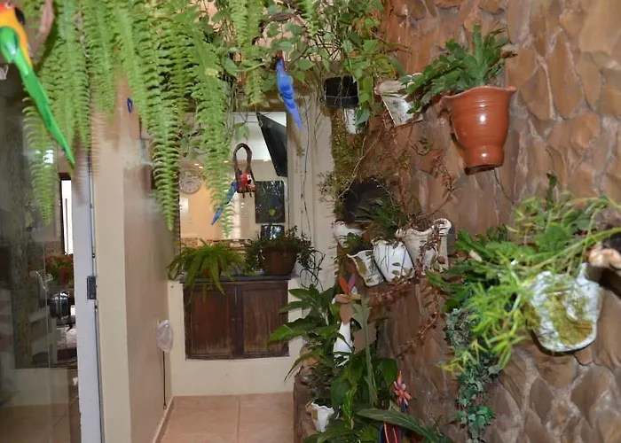 Telma Hotel Bauru