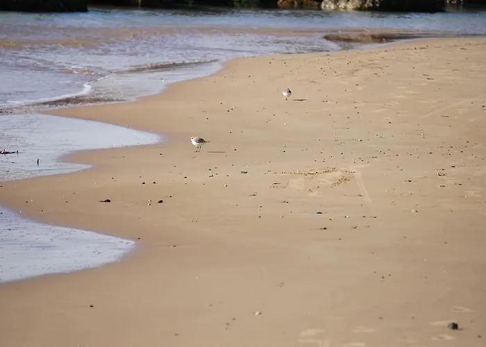 Sottovento Playa