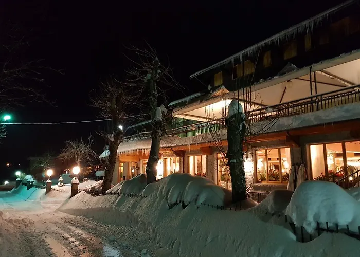 Albergo Ristorante Il Laghetto