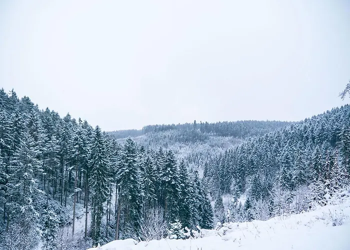 Hotel B&B Steinasäge Bonndorf im Schwarzwald