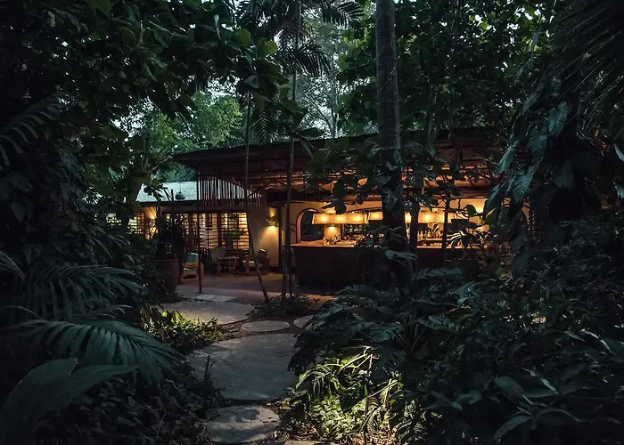 The Harmony Hotel