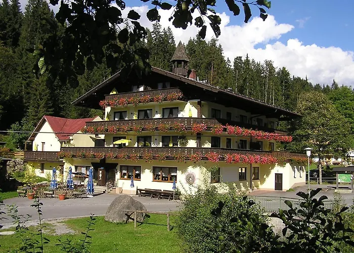 Hotels in Rinchnach