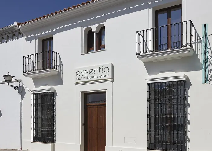 Hotel Galería Essentia Aracena