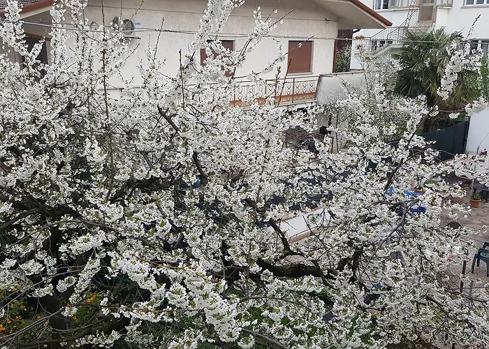 B&B Gasiso Monfalcone