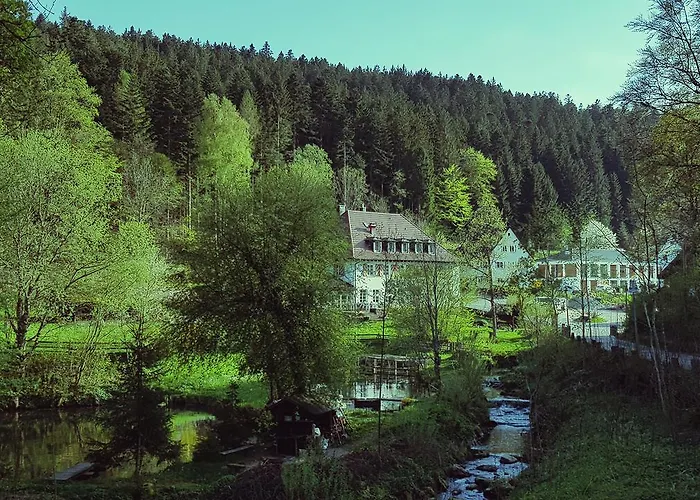 Gut Lauterbad Hotel