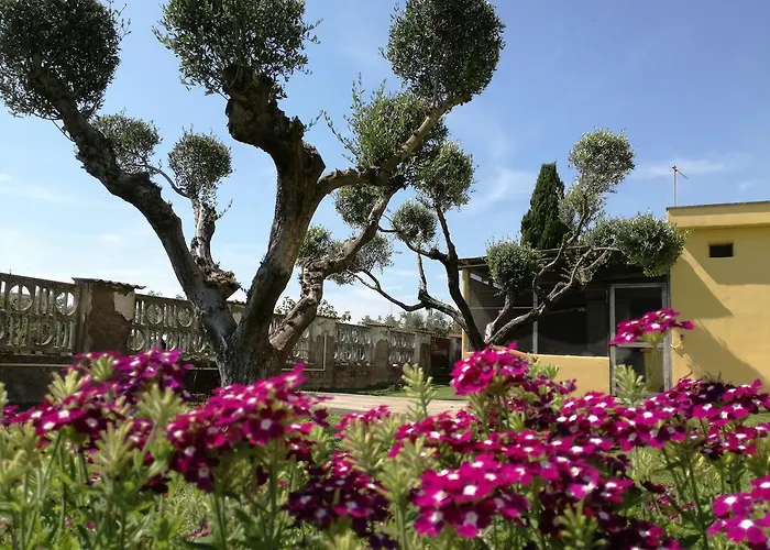B&B Casa degli Ulivi
