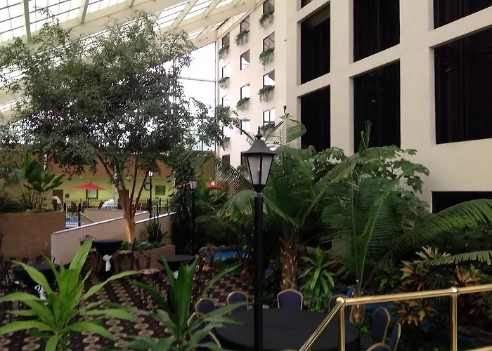 Wyndham Garden Amarillo Hotel