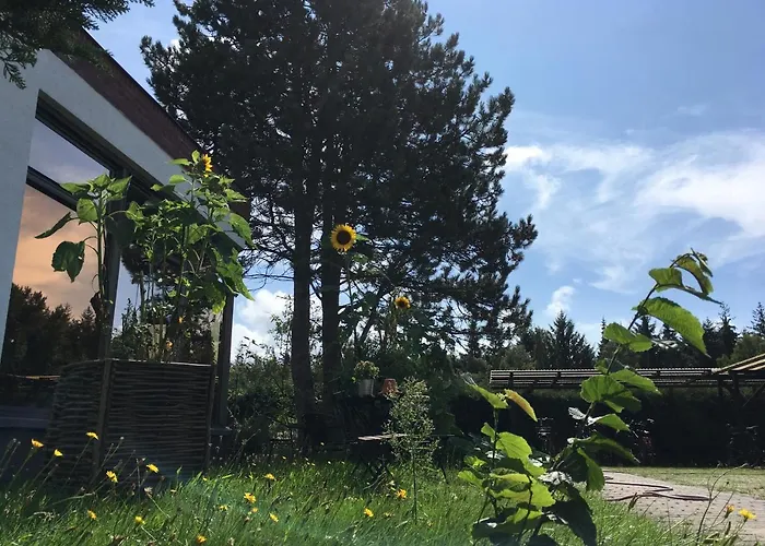 Hotel-Pension Seeadler Prerow