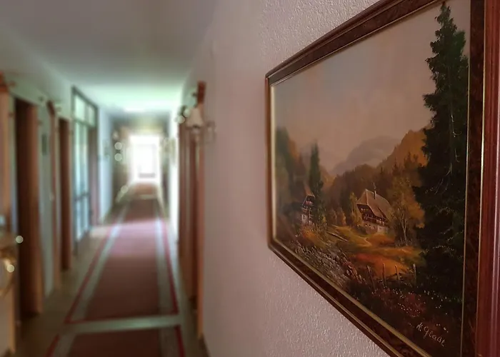Hotel Landhaus Sonnenhof Todtnau