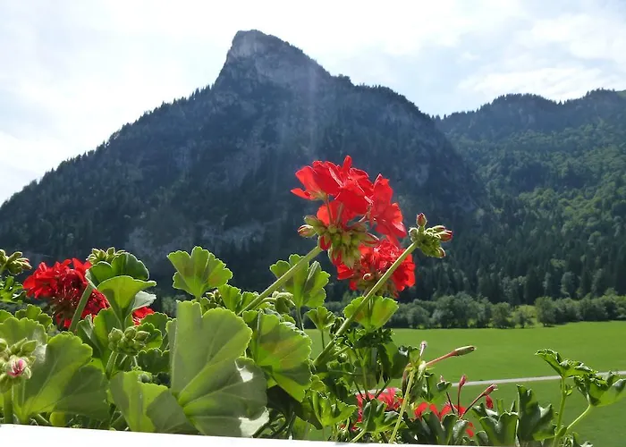 Hotel Friedenshoehe
