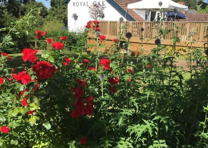 Helen Browning'S Royal Oak