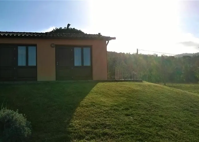 Podere 269