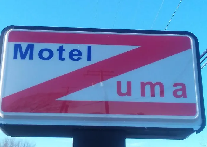 Motel Zuma Williamsburg