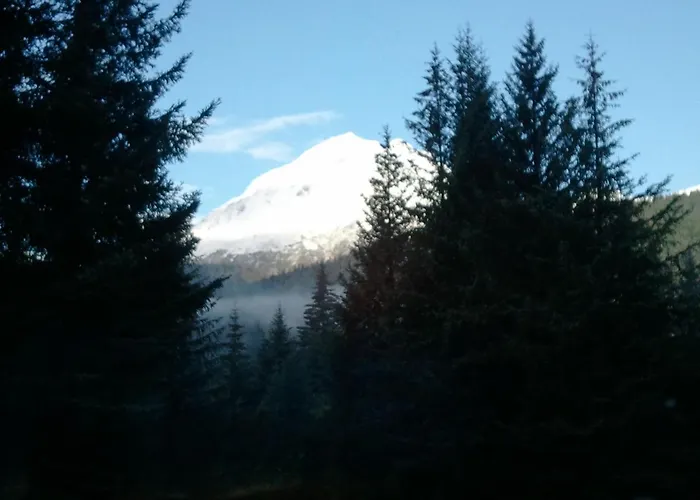 Glacier Creek Lodging