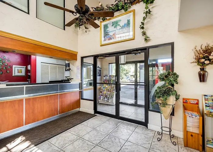 Econo Lodge Palm Harbor - Clearwater