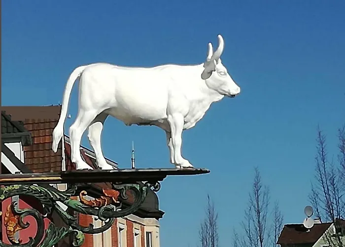 Hotel zum Weissen Ochsen Aalen