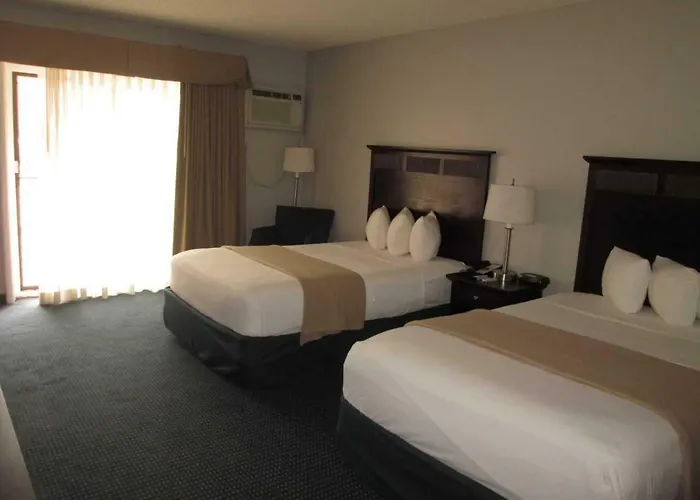 The Avenue Hotel