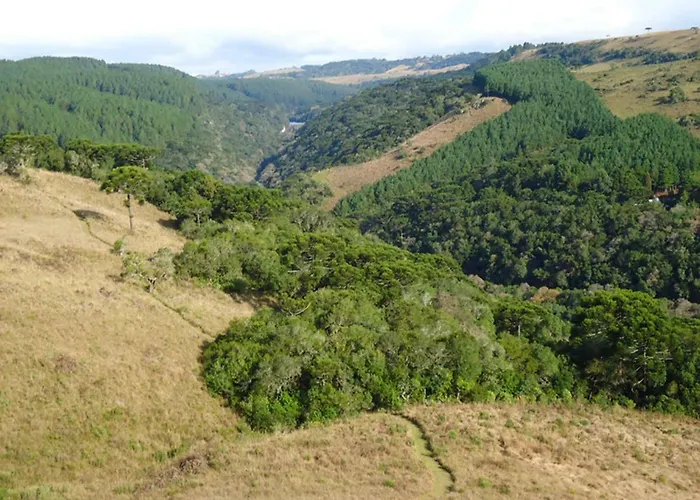 Parque Da Cachoeira Canela