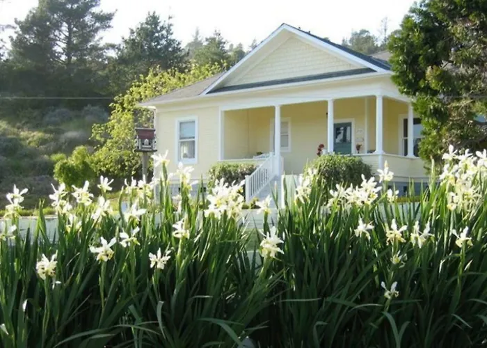 Fog'S End B&B