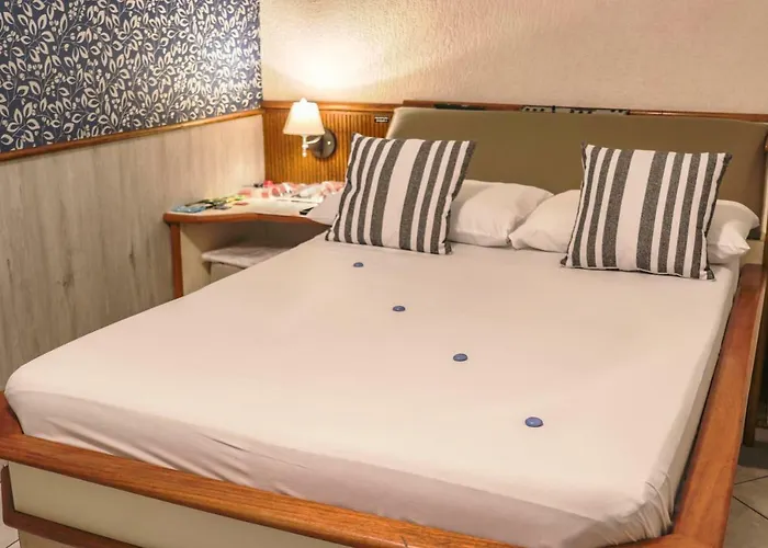 Motel Shampoo (Adults Only) Brusque