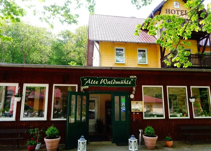 Hotel Alte Waldmühle Wernigerode