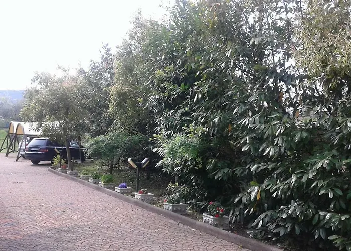 Le Palme