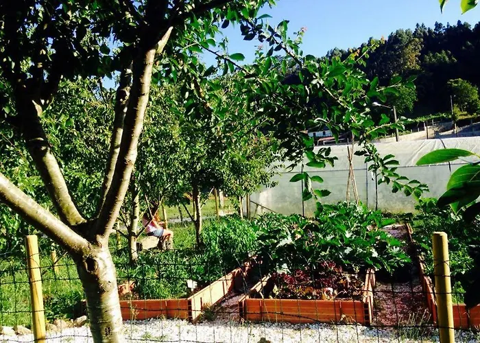 Madeinfofan Suite Rural Con Jardin (Adults Only) Portonovo
