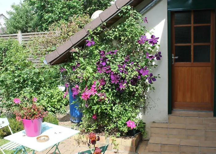 Chambre d'Hôtes Orchidees