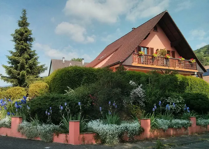 Hotel Marcia Donatti - A l'Ombre des Coteaux Sao Paulo à Kaysersberg-Vignoble
