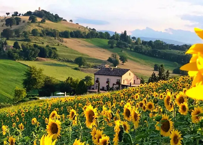 Casale delle Rondini