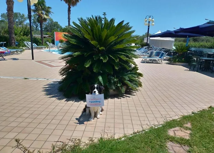 Hotel Marina
