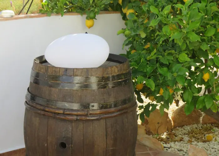 B&B Finca la Manchica Cartagena