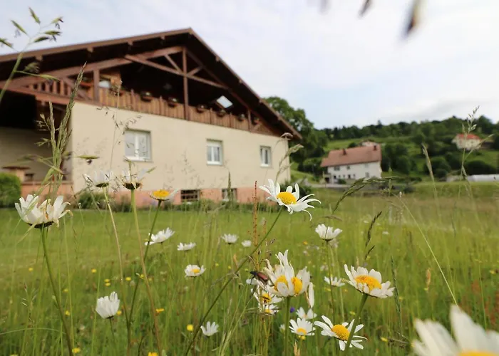 Les Chantenées La Bresse