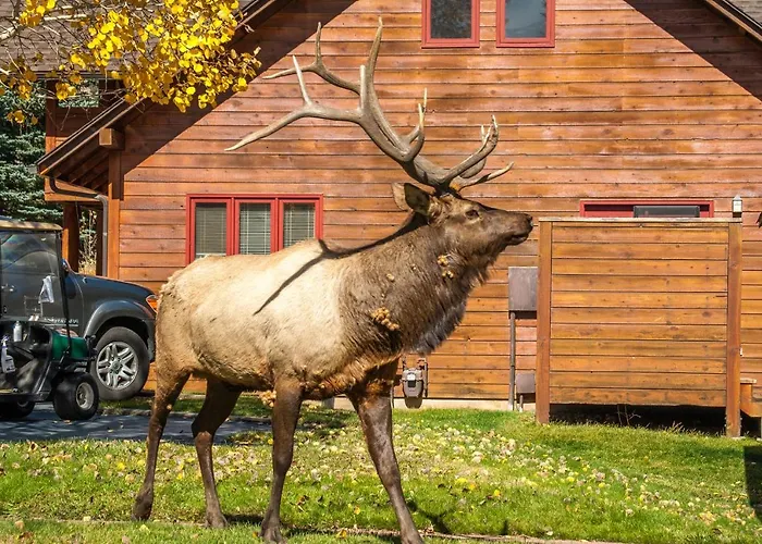 Rams Horn Village Resort