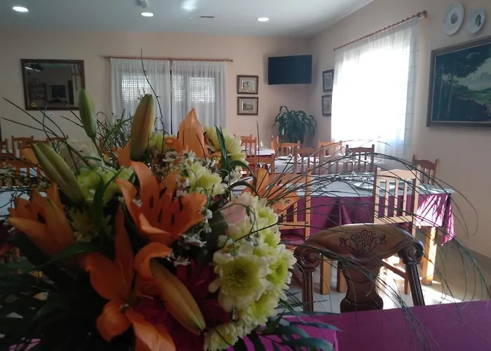Hotel Primavera Calasparra